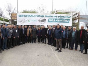 Şehitkamil, Yavuzeli Ve Araban Çiftçisine 50 Bin Fidan Dağıtıldı