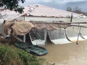 Turuncu Kodla Uyarılan Antalya’da Tarlalar Ve Yollar Göle Döndü