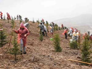 6 Şubat 2023 Deprem Şehitleri Hatıra Ormanı’nda 435 Fidan Toprakla Buluştu