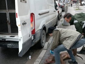 Küçük Çocuğa Saldıran Pitpull Cinsi Köpeğin Sahibi Gözaltına Alındı
