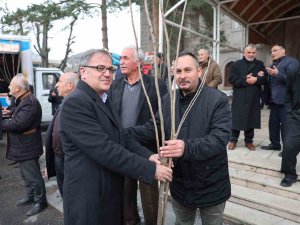 Fidan Belediyeden Meyve Vatandaştan