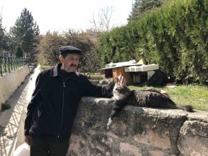 Komşularının İstemediği Kedileri İçin Parka Ev Yaptı