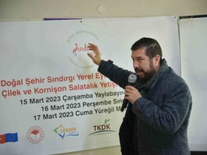 Sındırgı’da Salatalığın Kalitesinin Ve Üretiminin Arttırılması Hedefleniyor