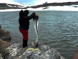 Türk Araştırmacılar, Beyaz Kıta’da 8 Farklı Ülkeye Ait Bilim Üssünü Ziyaret Etti