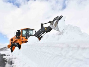 Kar Nedeniyle 5 Aydır Kapalı Olan Ardahan-Ardanuç Yolu İçin Çalışmalar Başladı