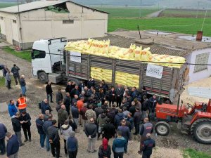 Gaziantep’te Arpa Ve Buğday Üreticilerine Gübre Desteği