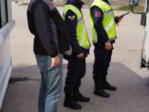 Biga’da Kontrolsüz Hayvan Hareketlerine Denetim