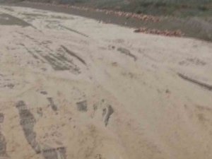 Elazığ’da Şiddetli Yağışlar Sonrası Dereler Coştu