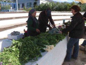 Göcek’te Ot Yemekleri Festivaline İlgi Yoğun Oldu