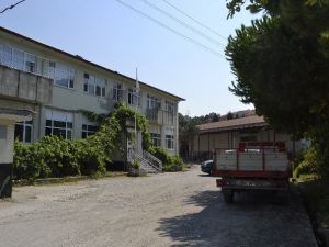 Alaplı Fiskobirlik Fındık Alımlarına Başlıyor