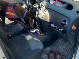 ’Kaput’ Vites Altındaki Uyuşturucuyu Burnuyla Koklayıp Patisiyle Çıkardı