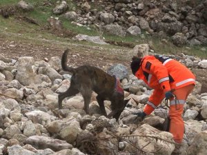 1,5 Yaşındaki Zeynep Hassas Burunlu Köpek İle Aranıyor