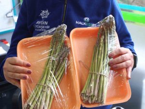 Büyükşehir Belediyesi, Kuşkonmaz Hasadına Başladı