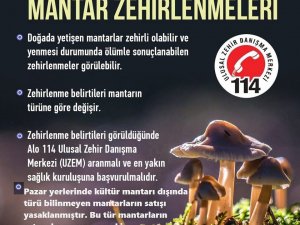 Karacasu’da Türü Bilinmeyen Mantarların Satışı Yasaklandı