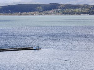 Sapanca Gölü’nde Sevindiren Haber: Su Seviyesi 31.37 Metreye Ulaştı