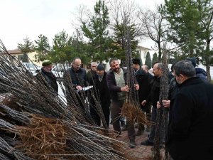 Başkan Altay: “Bu Yıl 115 Bin Fidanı Çiftçilerimizle Buluşturacağız”