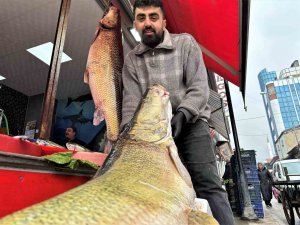 Sezonun Son Dev Turnaları Yakalandı, Vatandaşlar Telefonlarına Sarıldı