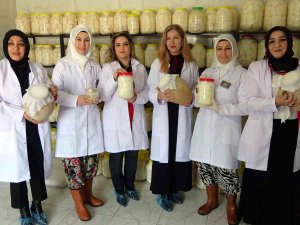 Ev Kadınıyken İş Kadını Oldular