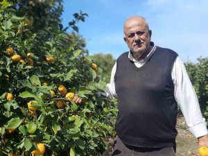 Hatay’da Depolar Yıkılıp Dağıtım Zinciri Bozulunca, Çiftçilerin Mahsulleri Ellerinde Kaldı