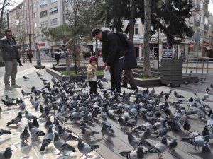 Hayvan Sevgisi Bu Yaşta Böyle Başlıyor