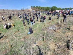 Deprem Şehitleri İçin 30 Bin Fidan Toprakla Buluşuyor