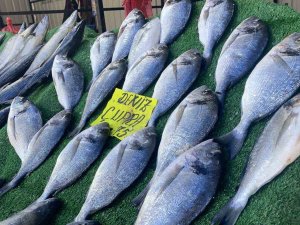 Ramazan’da Çupra Ve Somona Rağbet Bekleniyor