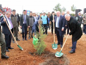 2 Bin Fidan Toprakla Buluştu