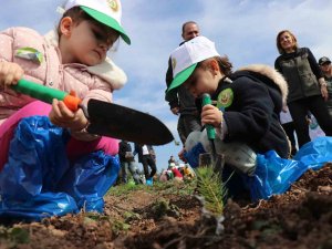 Deprem Şehitleri Anısına 3 Bin 900 Fidan Toprakla Buluştu
