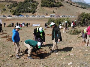 Deprem Şehitleri İçin Eğirdir’de 500 Adet Ardıç Fidanı Dikildi