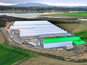 Elazığ’da Jeotermal Sera Sahasının İlk Etap Çalışmaları Tamamlandı