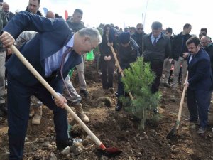 İ̇nönü’de 2 Bin Fidan Dikilerek 6 Şubat Deprem Şehitleri Ormanı Oluşturuldu