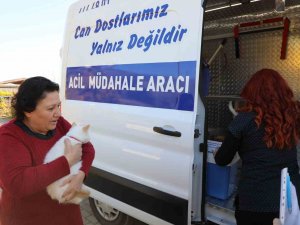 Büyükşehir Acil Müdahale Aracı İle Depremzede Candostların Yanında