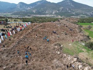 Denizli’de Deprem Şehitleri Hatıra Ormanında İlk Fidanlar Toprakla Buluştu