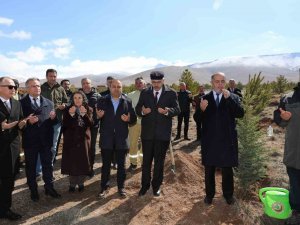 Depremzedeler İçin Orman Oluşturuldu