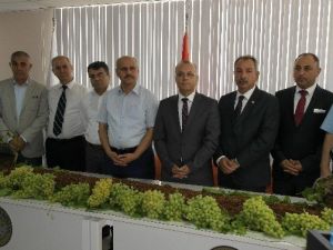 Salihli’de İlk Çekirdeksiz Kuru Üzüm Borsa’ya Geldi
