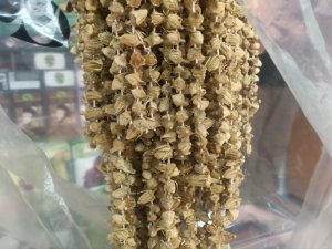 Kuru Bamya Altın Kadar Değerli