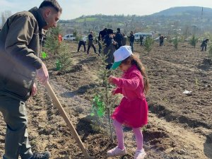 Zonguldak’ta 703 Fidan Deprem Şehitleri Anısına Dikildi
