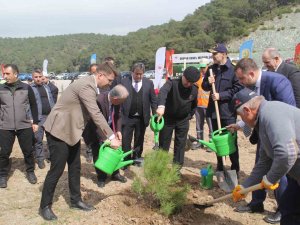 Çanakkale’de ‘6 Şubat Deprem Şehitleri Ormanı’ Oluşturuldu