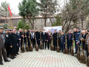 Çatak’ta 19 Bin 250 Ceviz Fidanı Dağıtıldı