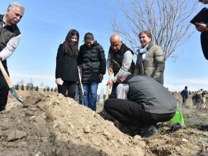 Depremzedelerin Anısına Ormancılık Günü’nde Hatıra Ormanı