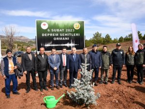 Uşak’ta Deprem Şehitleri Ormanında İlk Fidanlar Toprakla Buluştu