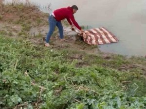 Ceylanpınar’da Dereye Düşen Kız Çocuğu Ölü Bulundu