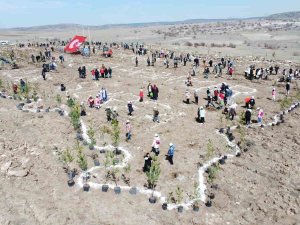 Fidanlar Depremde Hayatını Kaybedenler Anısına Toprakla Buluştu