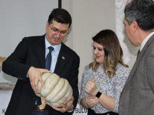 Kırklareli’de "Vizeli Balkız" Projesi Toplantısı Yapıldı