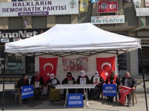 Yüreği Yanık Aileler Eylemlerine Devam Etti