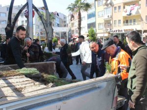 Türkeli’de Vatandaşlara 6 Bin Fidan Dağıtıldı