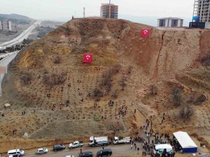 43 İlin Geçiş Güzergahı Fidanlarla Yeşerecek: Yüzlercesi Toprakla Buluşturuldu