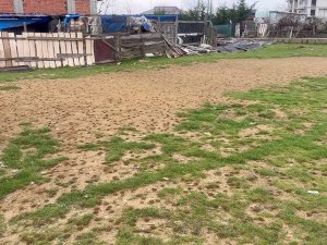 Arnavutköy’de Boş Arsadaki Yüzlerce Karınca Yuvası Görenleri Şaşkına Çevirdi