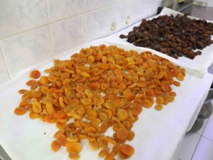 Depremzede Üreticiden İftar Sofrasına