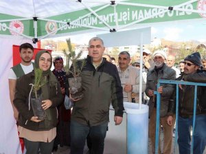 Orman Haftası Dolayısıyla Ücretsiz Fidan Dağıtımı Yapıldı